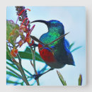 Buscar colibri relojes de pared Para ella
