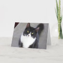 Buscar gato del smoking tarjetas Gatito