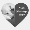 Buscar perro blanco y negro pegatinas Para todos