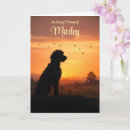 Buscar mezcla del perro Golden doodle