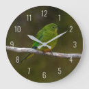 Buscar raro relojes de pared Pájaro