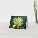 Buscar lilly tarjetas Amarillo