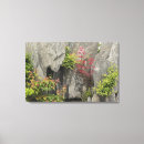 Buscar bonsai lienzos Árbol