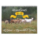 Buscar cabras calendarios Animales de granja