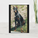 Buscar guardia tarjetas Perro