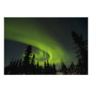 Buscar aurora posters Silueta