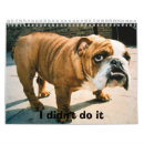 Buscar toro calendarios Perros