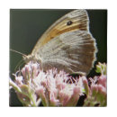Buscar mariposas azulejos General y unisex