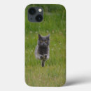 Buscar gatitos ipad fundas Felino