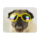 Buscar gafas de sol imanes Lindo