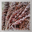 Buscar hierro posters Naturaleza
