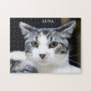 Buscar bigotes puzzles General y unisex