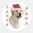Buscar labrador retriever pegatinas Animales