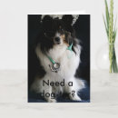 Buscar shelties General y unisex