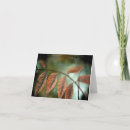 Buscar spiritual postales Religious