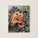 Buscar tronco de árbol fotografía Invierno