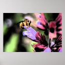 Buscar flora y fauna posters Amarillo