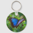 Buscar mariposas azules llaveros General y unisex