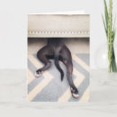 Buscar triste tarjetas Discúlpese