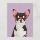 Buscar chihuahua negra postales Para todos