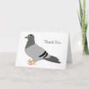 Buscar pigeon tarjetas General y unisex