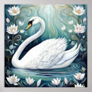 Buscar cisnes salvajes posters Animal