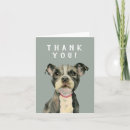 Buscar perritos tarjetas Perro