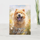 Buscar chow tarjetas Del perro
