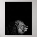 Buscar leones blancos posters Para todos