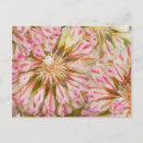 Buscar media luna postales Flor