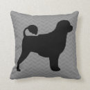 Buscar portuguesa cojines Perro