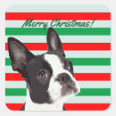 Buscar boston terrier pegatinas Festivo