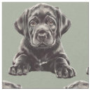 Buscar labrador negro telas General y unisex