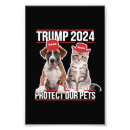 Buscar gatos posters Elección