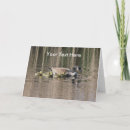 Buscar gatos adorables tarjetas Vida silvestre