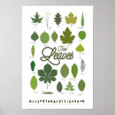 Buscar teacher posters Para niños