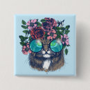 Buscar coon chapas Gato