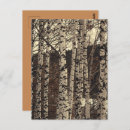 Buscar aves postales Bosque