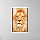 Buscar león lienzos Ilustracion