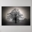 Buscar más espeso posters Naturaleza