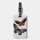 Buscar steampunk accesorios Mariposa