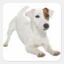 Buscar amo perros pegatinas Cachorro