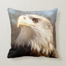 Buscar rapaces cojines Fauna
