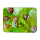 Buscar lechuga imanes Ensalada