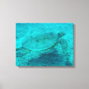 Buscar tortuga hawaiana lienzos Honu