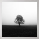 Buscar árbol solitario posters Naturaleza