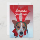 Buscar perros de la nieve tarjetas Humor
