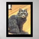 Buscar cat posters Animals