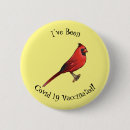 Buscar cardenales redondos pins Cardenal rojo