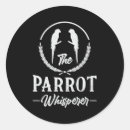Buscar parrot pegatinas Colorido